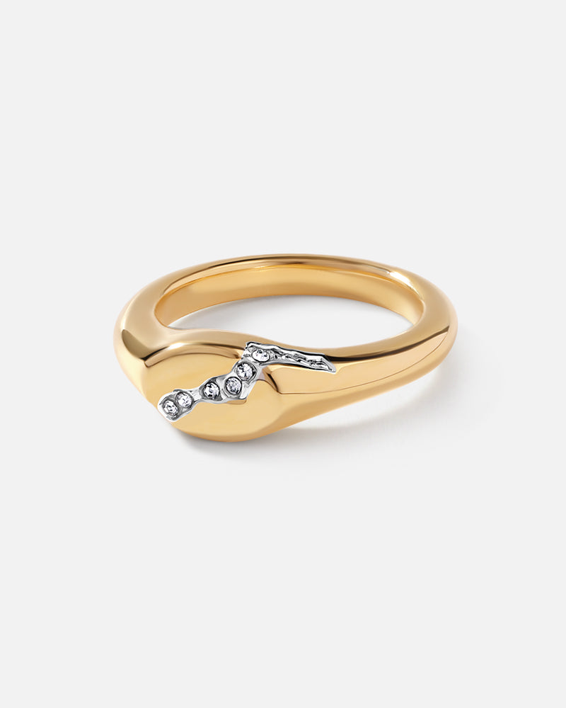Oval Signet Ring | Basique® Jewelry