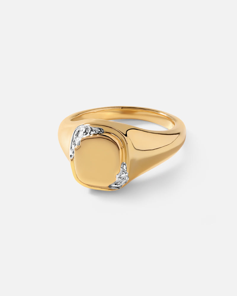 Signet Square Ring in Gold